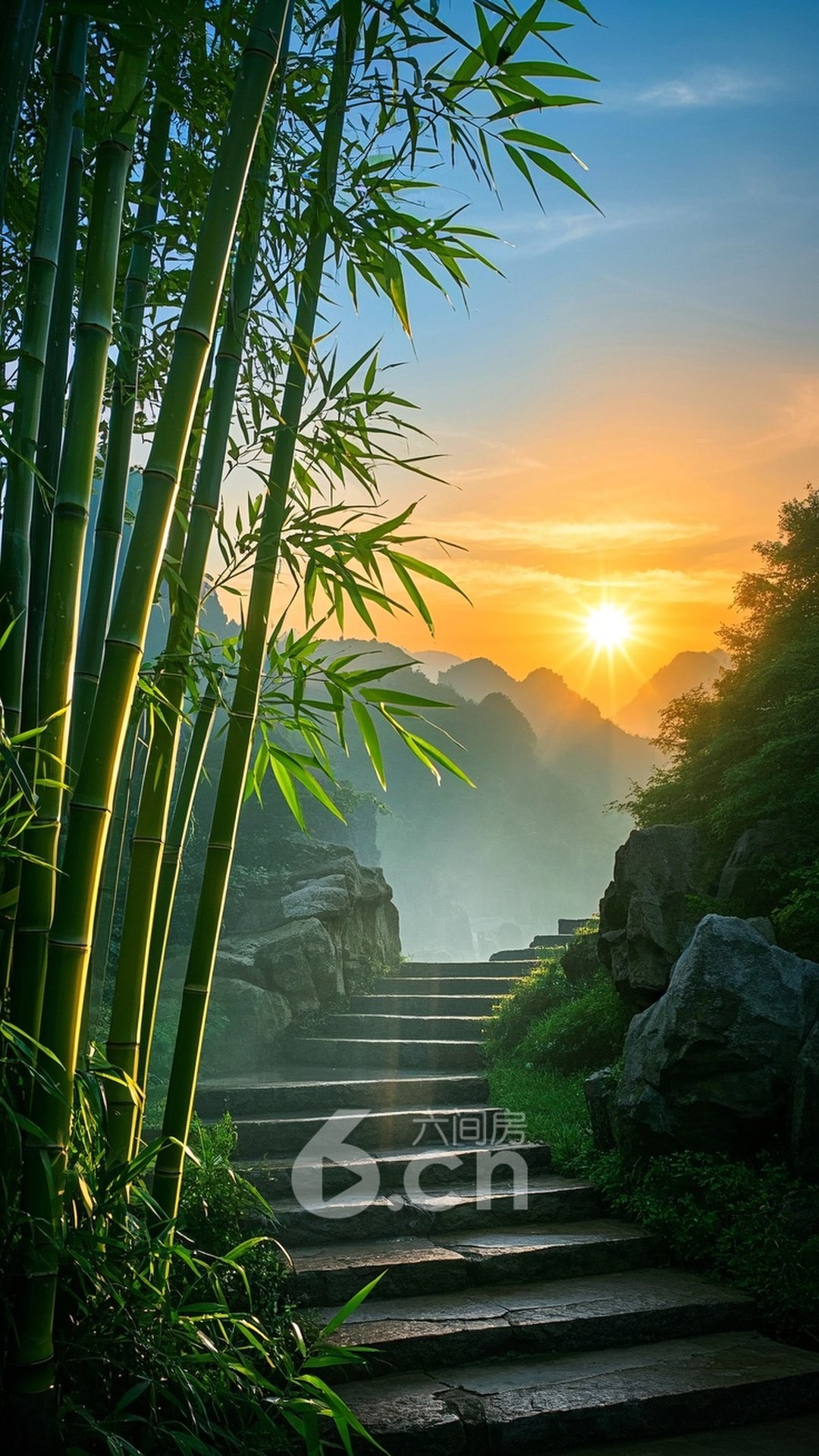壁纸小能手的手机壁纸